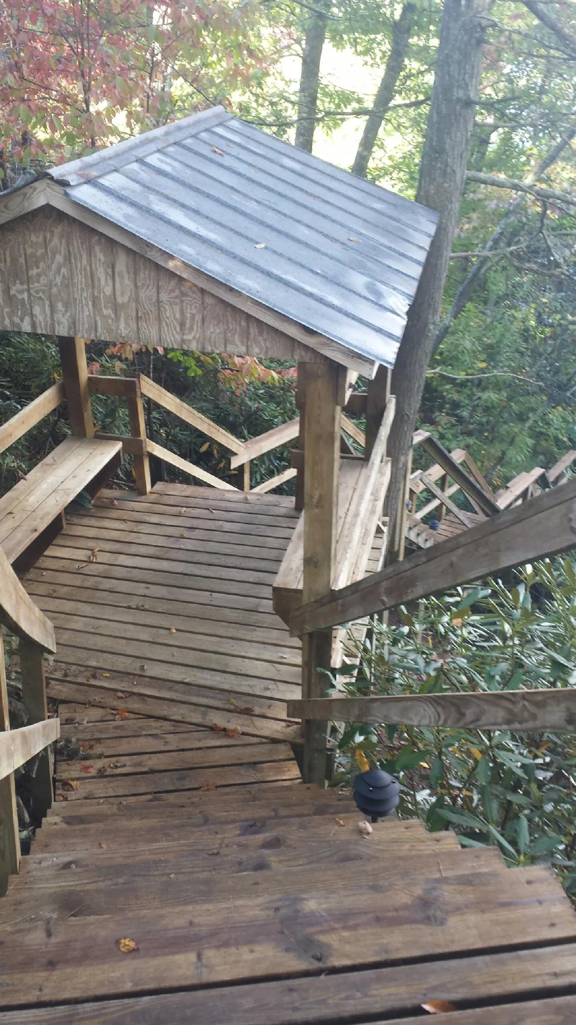 Metal roofed shelter over wooden steps on a wooded walkway — Skylight Repair & Installation work by our crew in Dearing