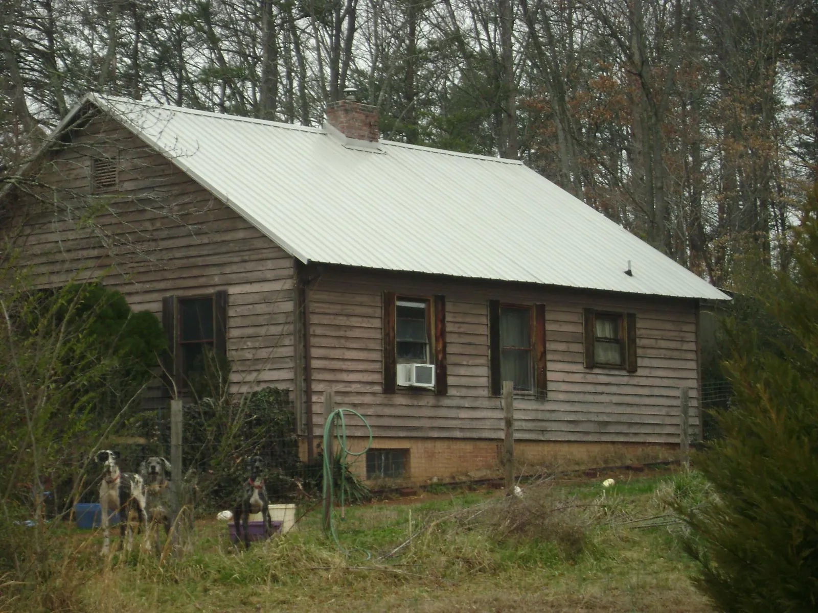 White metal roof on an old wood sided farmhouse, from a Asphalt Shingle Roof Repair job in Dearing